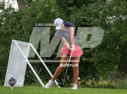 Thumbnail 2 in UIL 5A Golf Finals photogallery.