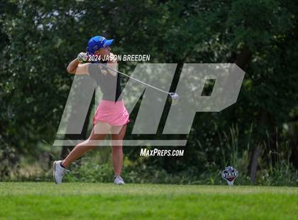 Thumbnail 3 in UIL 5A Golf Finals photogallery.