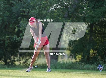 Thumbnail 2 in UIL 5A Golf Finals photogallery.