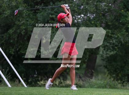 Thumbnail 3 in UIL 5A Golf Finals photogallery.
