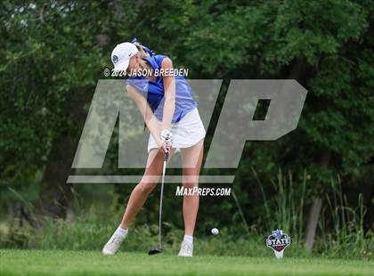 Thumbnail 1 in UIL 5A Golf Finals photogallery.