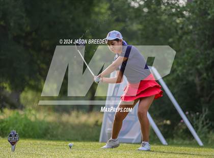 Thumbnail 1 in UIL 5A Golf Finals photogallery.