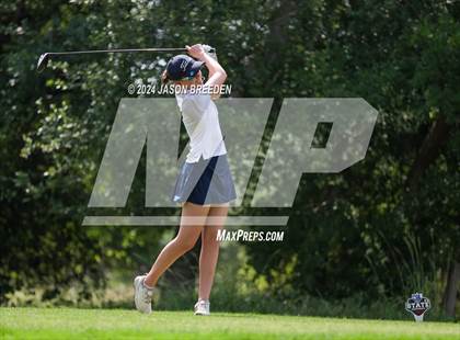Thumbnail 1 in UIL 5A Golf Finals photogallery.