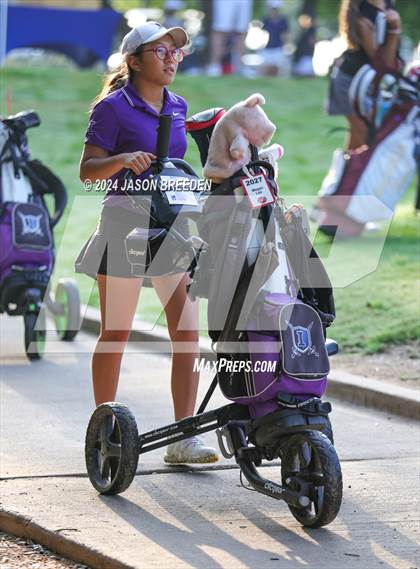 Thumbnail 3 in UIL 5A Golf Finals photogallery.