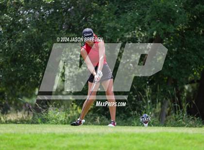 Thumbnail 2 in UIL 5A Golf Finals photogallery.