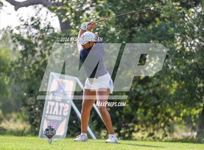 Thumbnail 2 in UIL 5A Golf Finals photogallery.