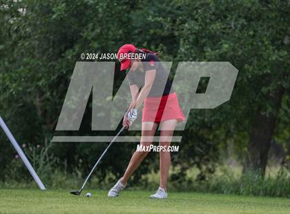 Thumbnail 2 in UIL 5A Golf Finals photogallery.