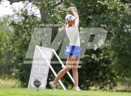 Thumbnail 1 in UIL 5A Golf Finals photogallery.