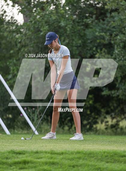 Thumbnail 1 in UIL 5A Golf Finals photogallery.