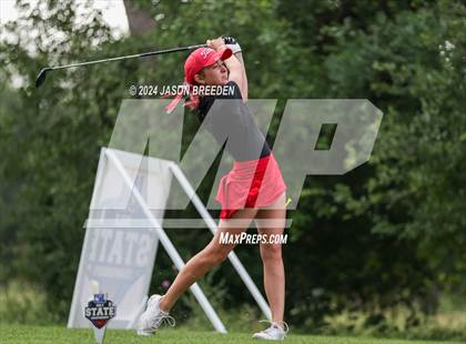 Thumbnail 2 in UIL 5A Golf Finals photogallery.