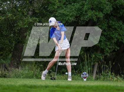 Thumbnail 1 in UIL 5A Golf Finals photogallery.