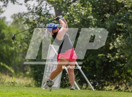 Thumbnail 1 in UIL 5A Golf Finals photogallery.