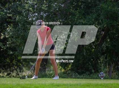 Thumbnail 1 in UIL 5A Golf Finals photogallery.