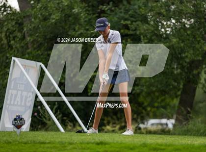 Thumbnail 1 in UIL 5A Golf Finals photogallery.