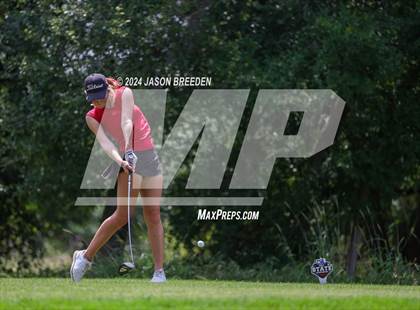Thumbnail 3 in UIL 5A Golf Finals photogallery.