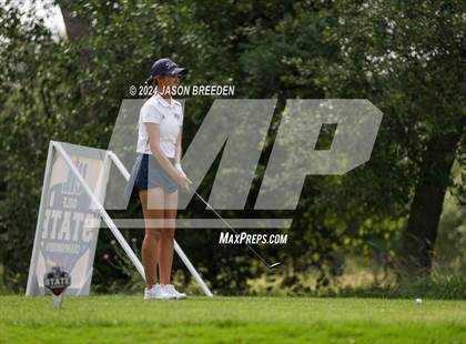 Thumbnail 3 in UIL 5A Golf Finals photogallery.