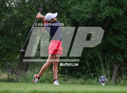 Thumbnail 3 in UIL 5A Golf Finals photogallery.