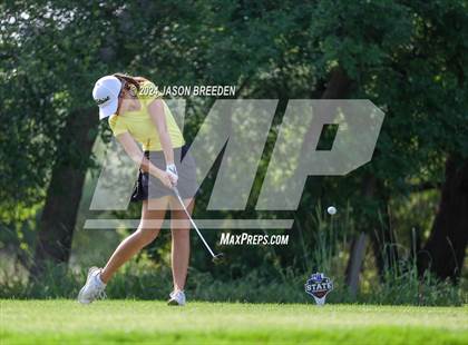 Thumbnail 3 in UIL 5A Golf Finals photogallery.
