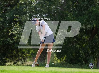 Thumbnail 3 in UIL 5A Golf Finals photogallery.