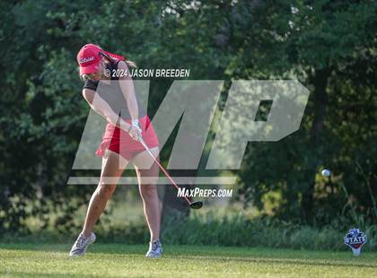 Thumbnail 1 in UIL 5A Golf Finals photogallery.