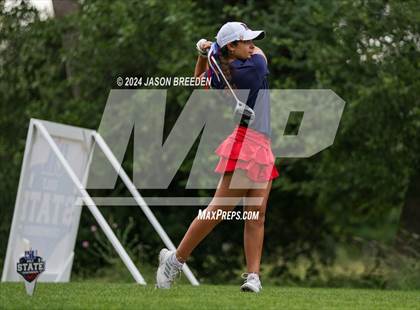 Thumbnail 3 in UIL 5A Golf Finals photogallery.