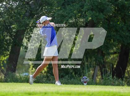 Thumbnail 1 in UIL 5A Golf Finals photogallery.