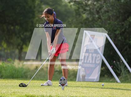 Thumbnail 1 in UIL 5A Golf Finals photogallery.