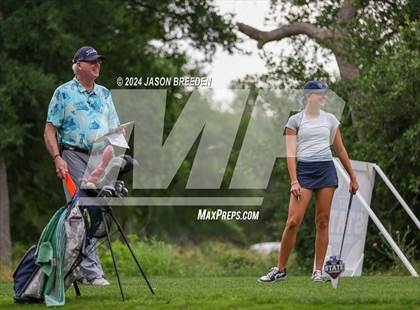 Thumbnail 1 in UIL 5A Golf Finals photogallery.