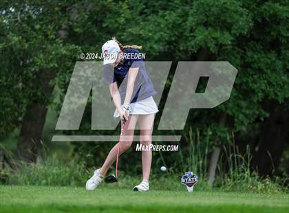 Thumbnail 2 in UIL 5A Golf Finals photogallery.