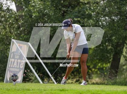 Thumbnail 2 in UIL 5A Golf Finals photogallery.