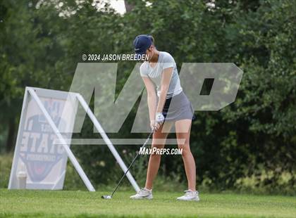 Thumbnail 2 in UIL 5A Golf Finals photogallery.