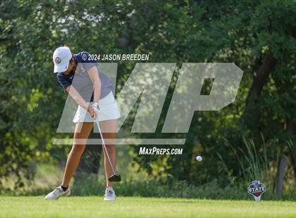Thumbnail 2 in UIL 5A Golf Finals photogallery.