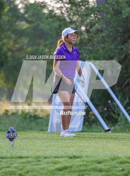 Thumbnail 3 in UIL 5A Golf Finals photogallery.