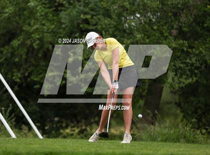 Thumbnail 1 in UIL 5A Golf Finals photogallery.