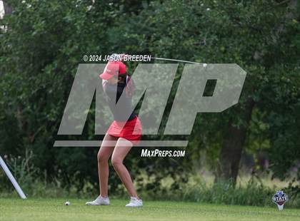 Thumbnail 3 in UIL 5A Golf Finals photogallery.