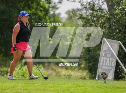 Thumbnail 1 in UIL 5A Golf Finals photogallery.