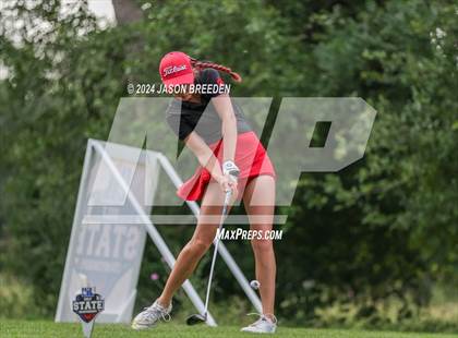 Thumbnail 3 in UIL 5A Golf Finals photogallery.