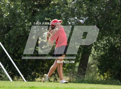 Thumbnail 3 in UIL 5A Golf Finals photogallery.