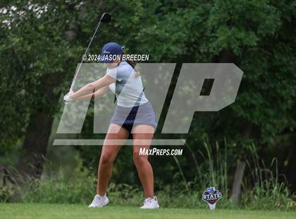 Thumbnail 1 in UIL 5A Golf Finals photogallery.