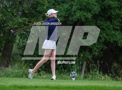 Thumbnail 1 in UIL 5A Golf Finals photogallery.