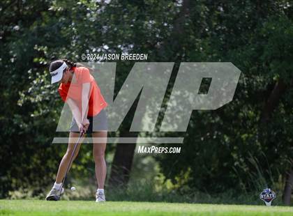 Thumbnail 3 in UIL 5A Golf Finals photogallery.