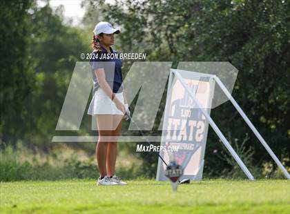 Thumbnail 2 in UIL 5A Golf Finals photogallery.