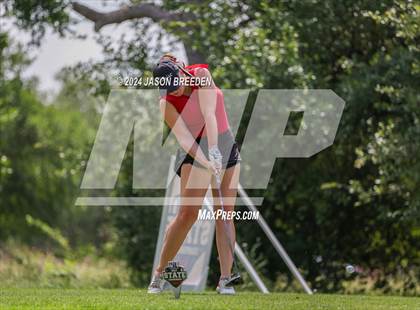 Thumbnail 3 in UIL 5A Golf Finals photogallery.