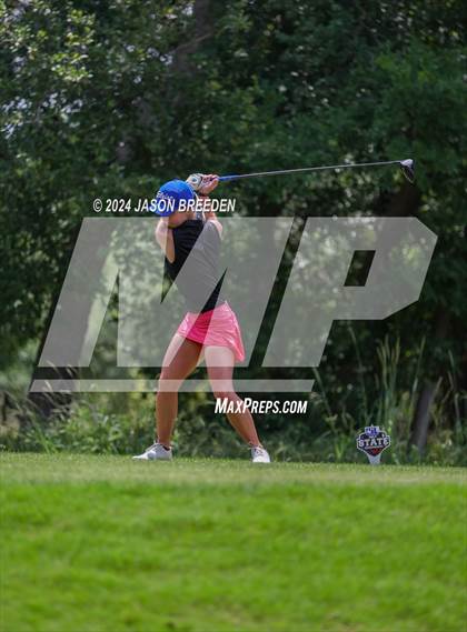 Thumbnail 1 in UIL 5A Golf Finals photogallery.