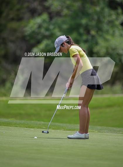 Thumbnail 1 in UIL 5A Golf Finals photogallery.
