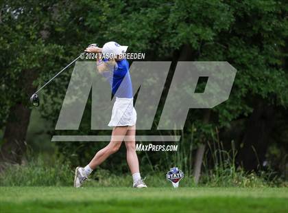 Thumbnail 3 in UIL 5A Golf Finals photogallery.