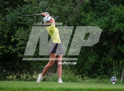 Thumbnail 2 in UIL 5A Golf Finals photogallery.