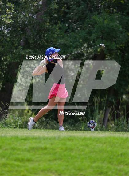 Thumbnail 2 in UIL 5A Golf Finals photogallery.