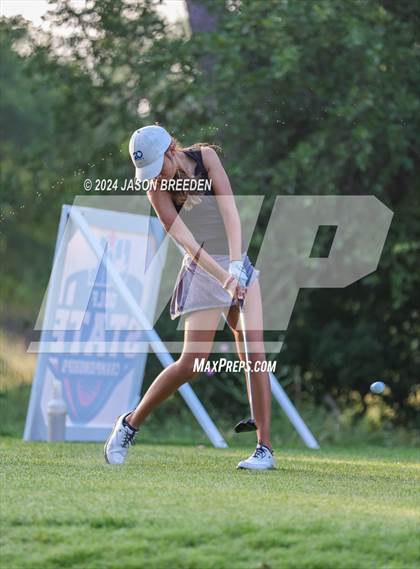 Thumbnail 1 in UIL 5A Golf Finals photogallery.
