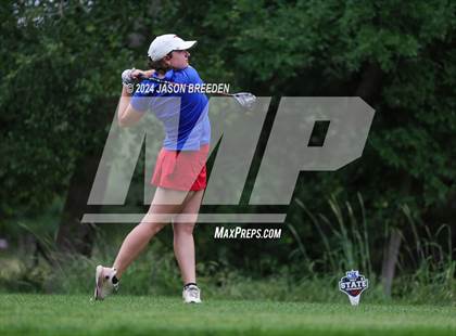 Thumbnail 3 in UIL 5A Golf Finals photogallery.
